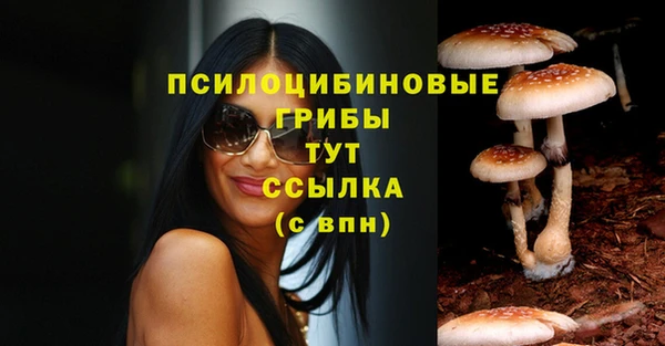 твердый Зеленокумск