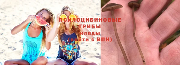твердый Зеленокумск