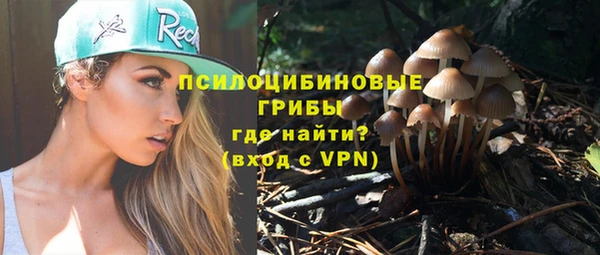 твердый Зеленокумск